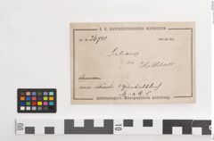 Etiketten zu Bronzegürtelblech (NHMW-PRAE-026741)